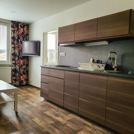 Apartmany Schmiedeberg U Klinovce Kovarska Luaran gambar